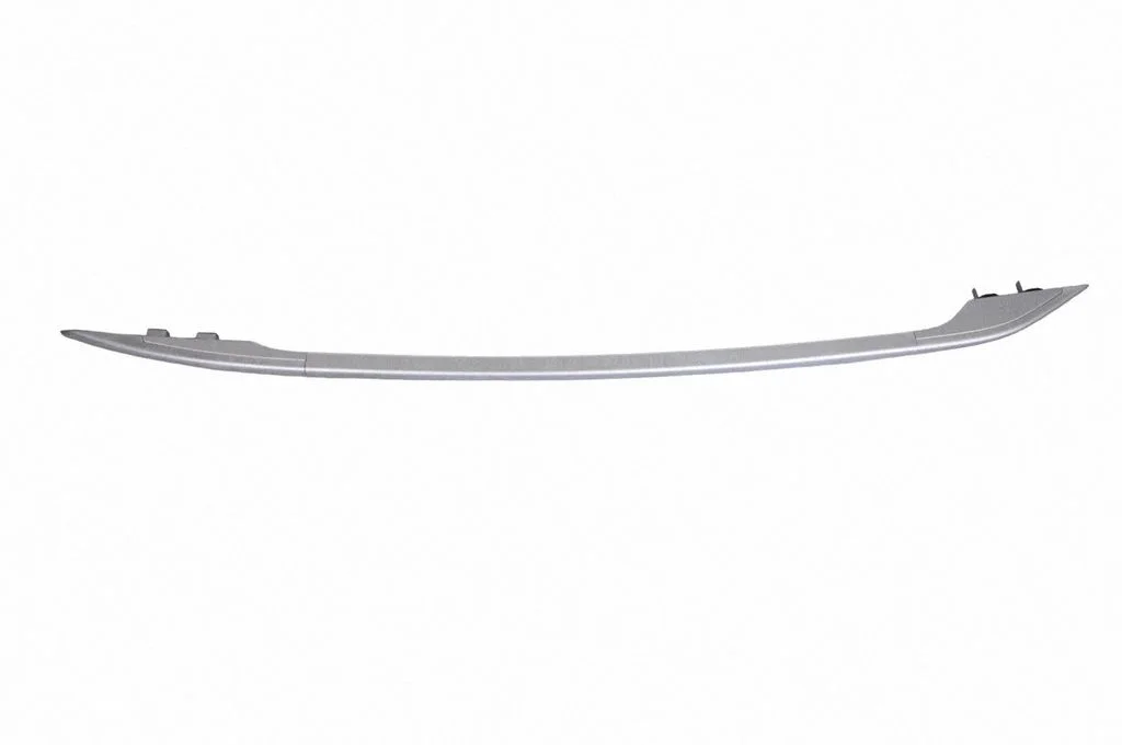 Katuse pikivardad „sarved" – vasak