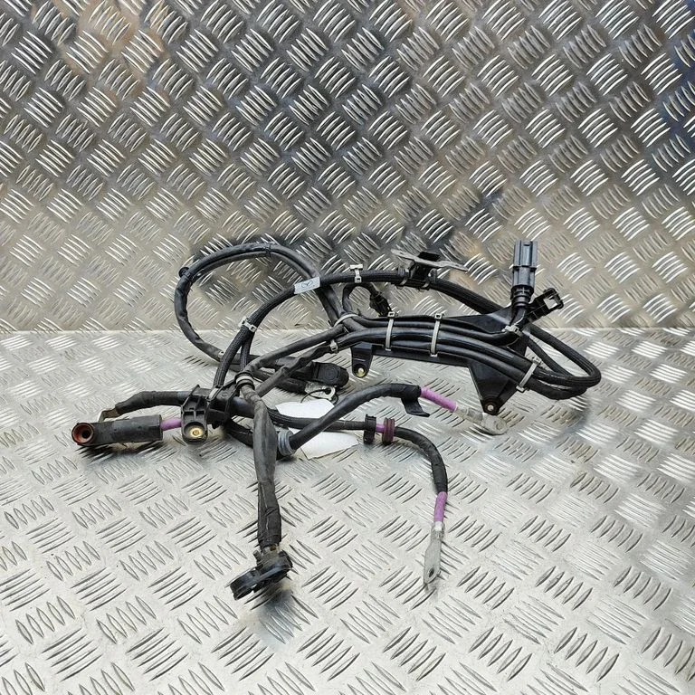 Other wiring loom A1675405459
