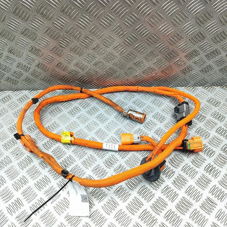 Other wiring loom 11384718