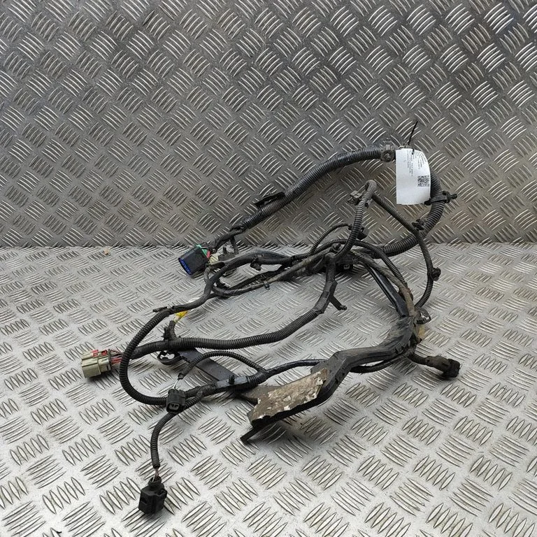 Other wiring loom 200443005A