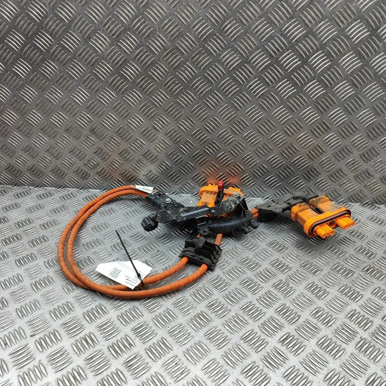 Other wiring loom 1EA015V1