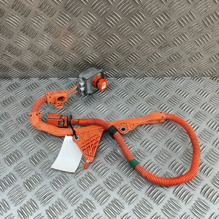 Other wiring loom 821H242020