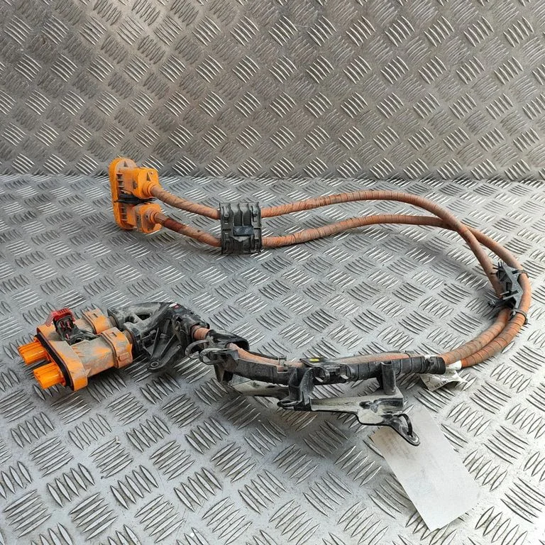 Other wiring loom 1EA971015S
