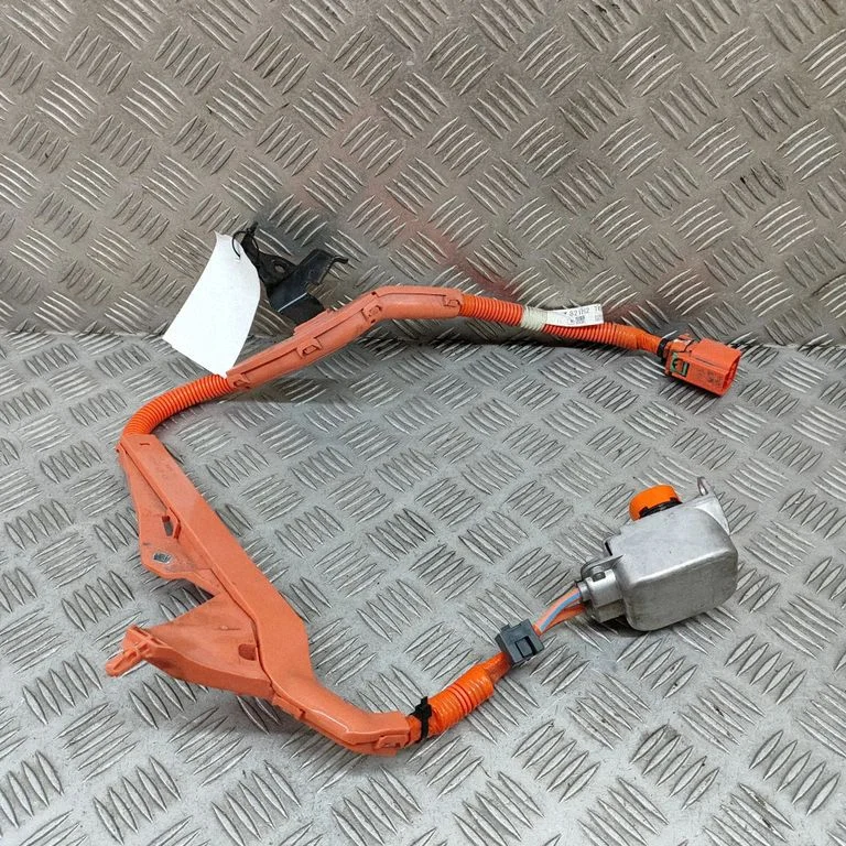 Other wiring loom 821H247010B