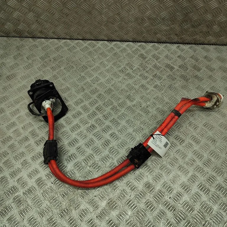 Other wiring loom 296B15SN1A