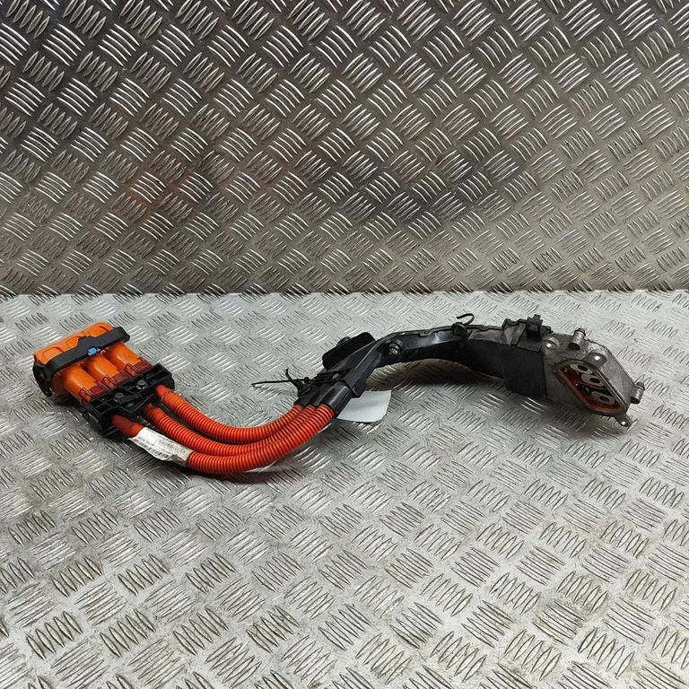 Other wiring loom 30644624