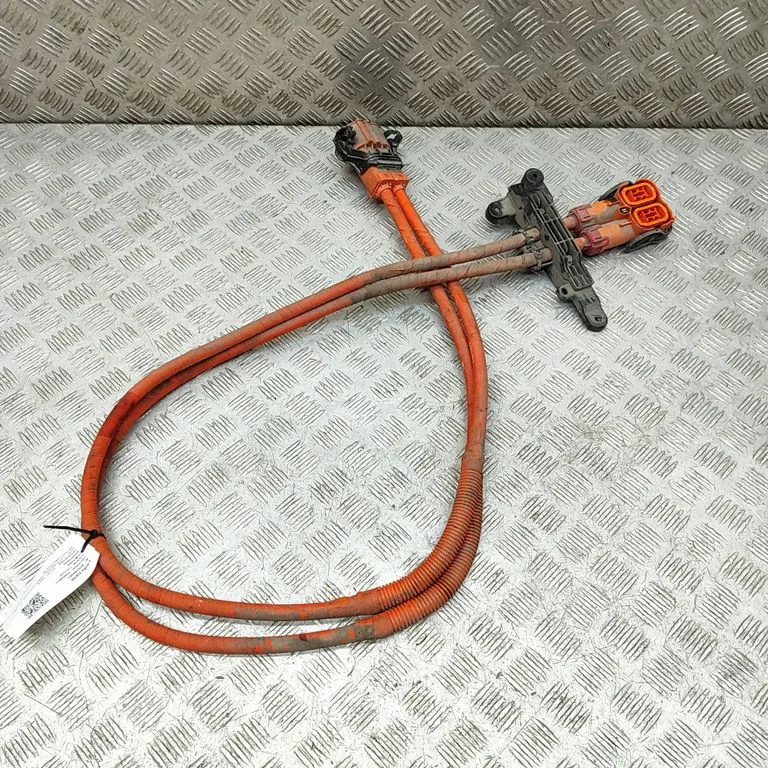 Other wiring loom 31384342
