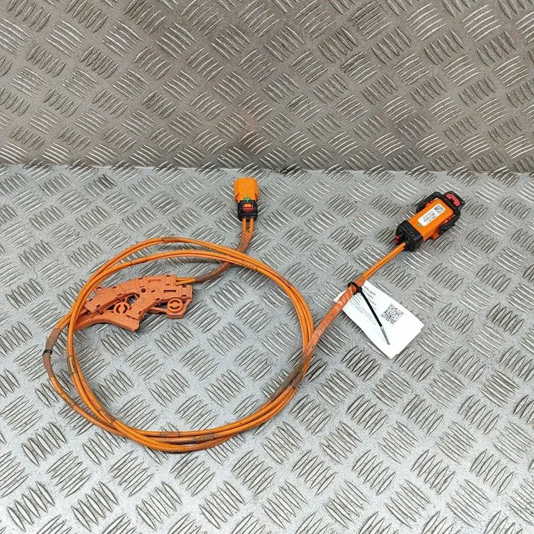 Other wiring loom 110900405G