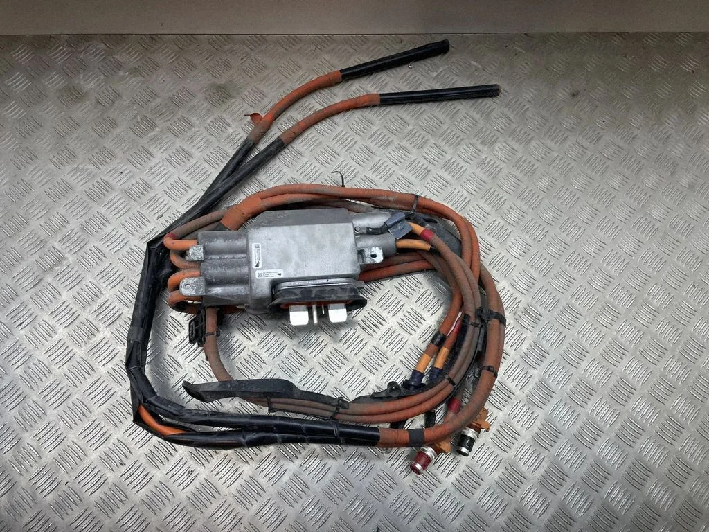 Other wiring loom 109500010E