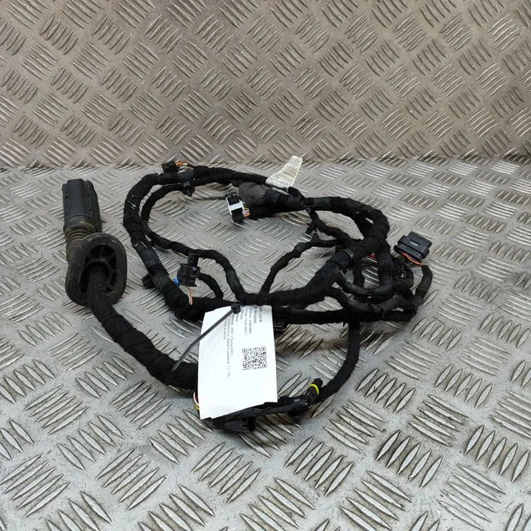 Other wiring loom 5A0C064
