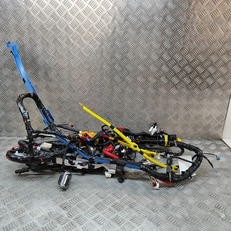 Other wiring loom 248904202A