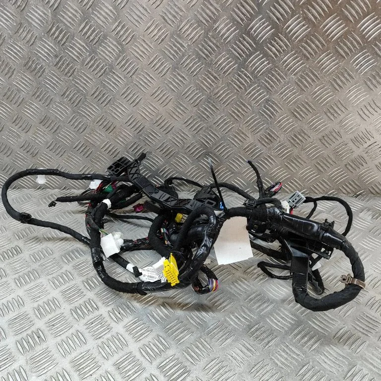 Other wiring loom 248904802B