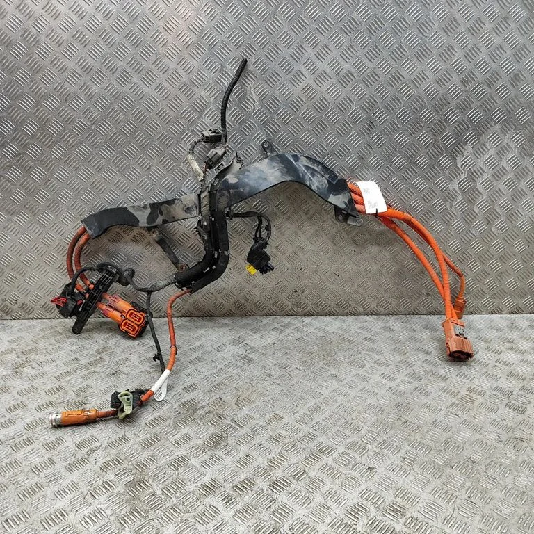 Other wiring loom 31868878