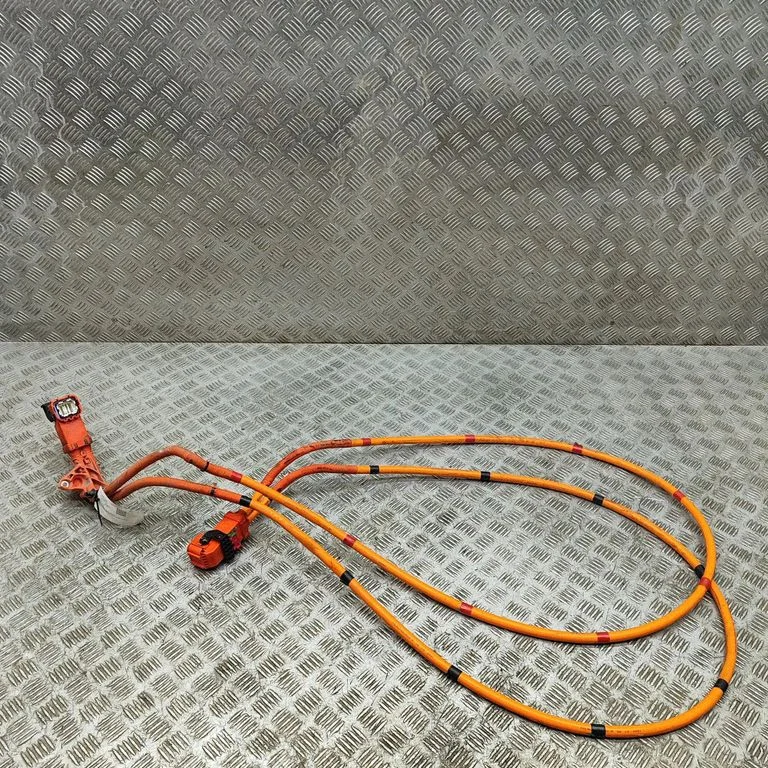 Other wiring loom 110900300E