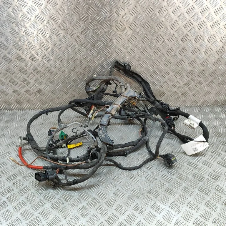 Other wiring loom 5LA970250