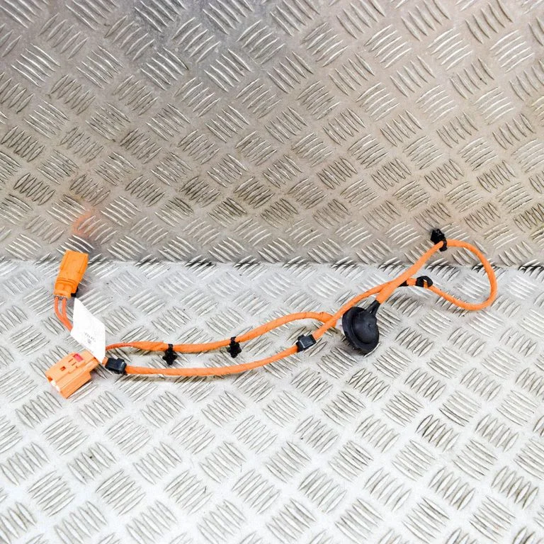 Pozostałe przewody i wiązki 1EA971475B