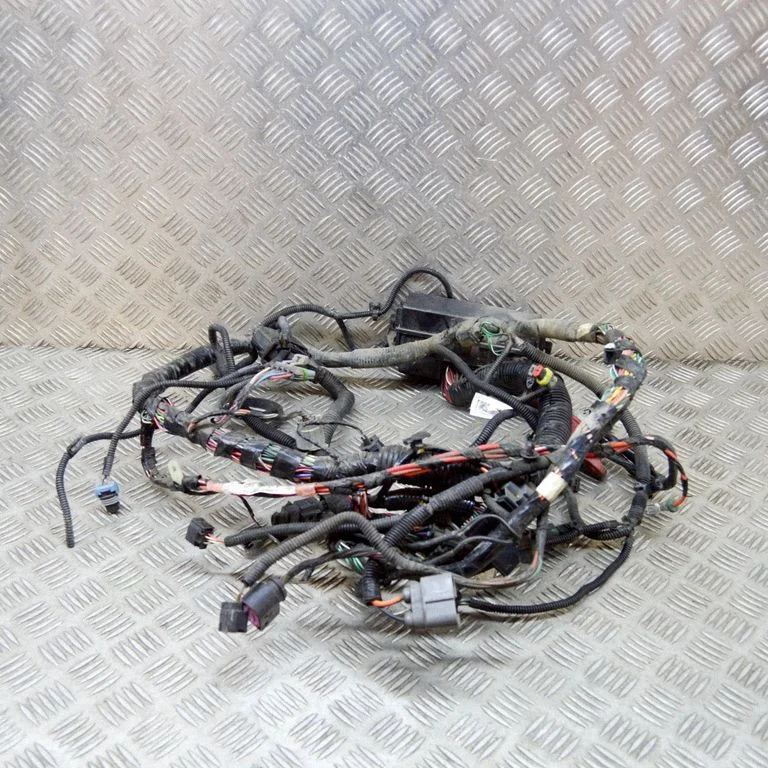 Other wiring loom 100909604H