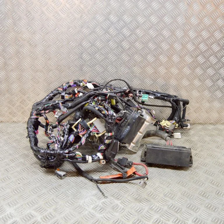Other wiring loom 100442303H