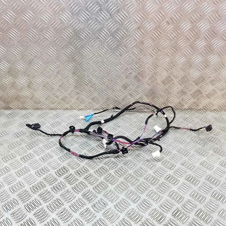 Other wiring loom 812144970