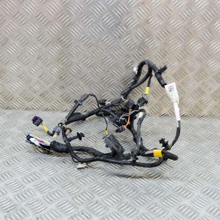 Other wiring loom 106876700F