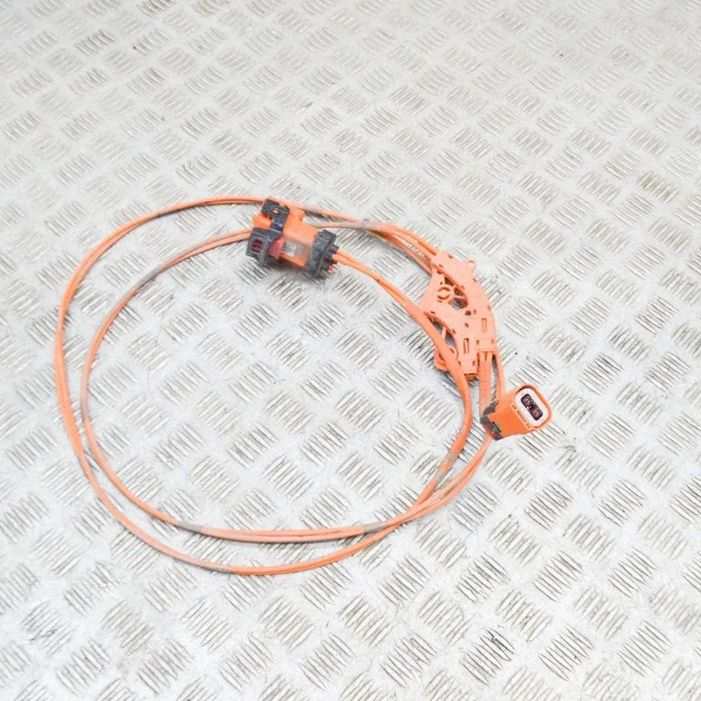 Other wiring loom 110016900D