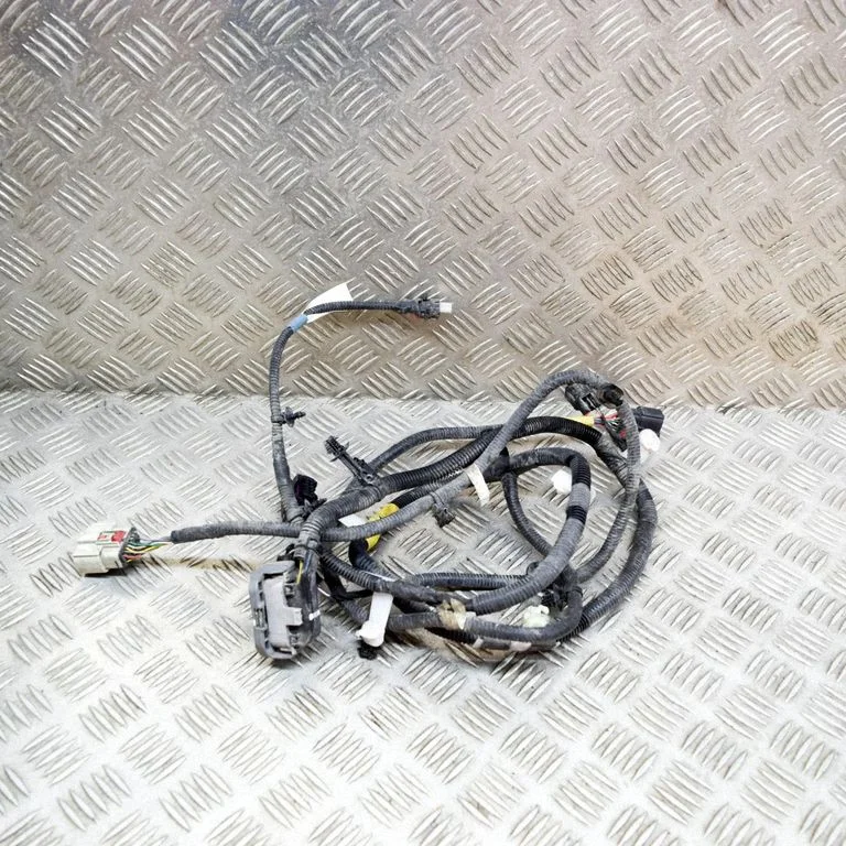 Other wiring loom 248905901A