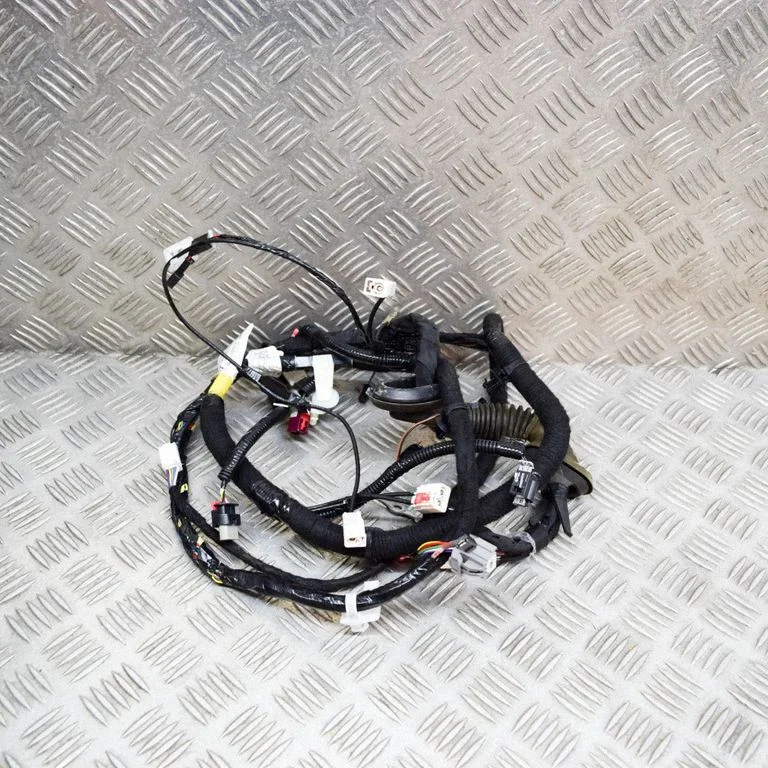 Other wiring loom 148905502D