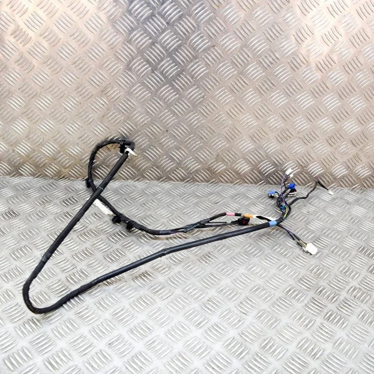 Other wiring loom 161669100C