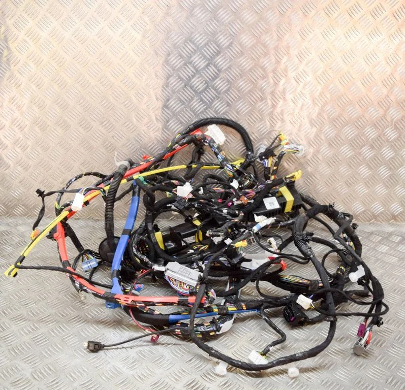 Other wiring loom 248904800A