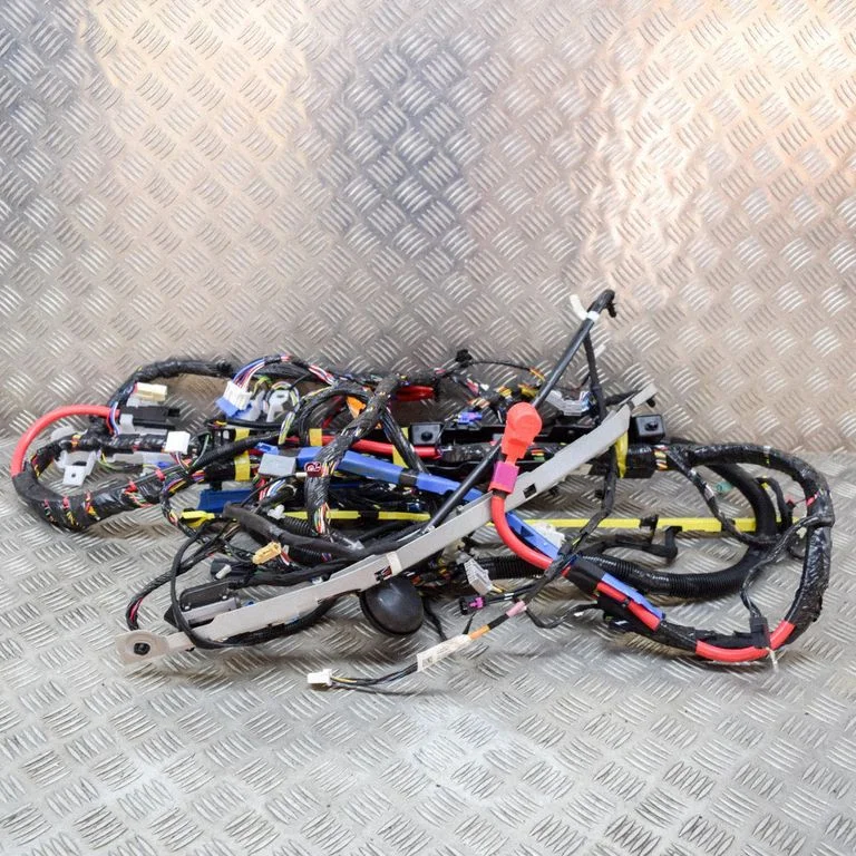 Other wiring loom 248904202A
