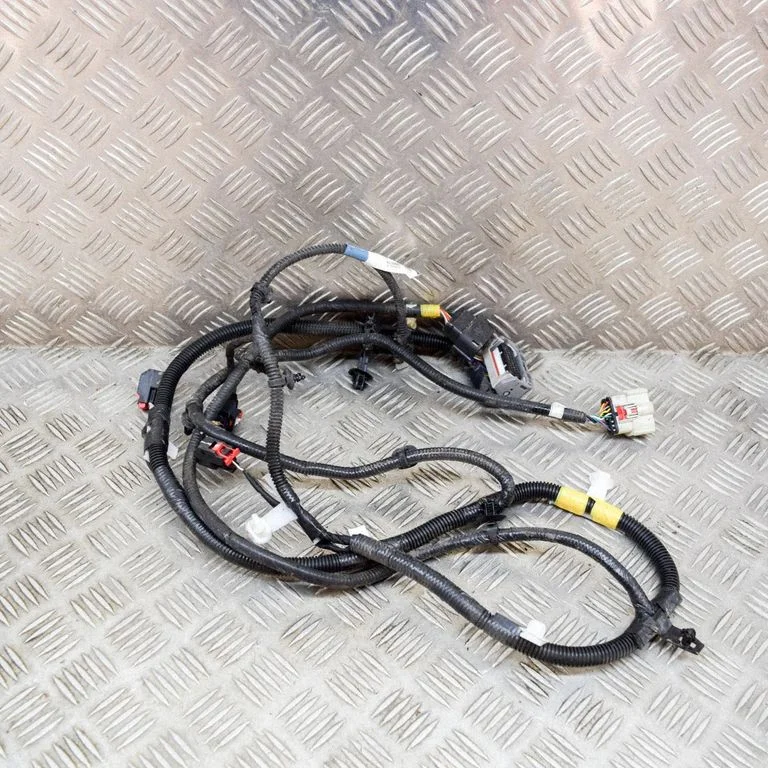 Other wiring loom 248905901A