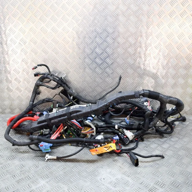 Other wiring loom 248905807B