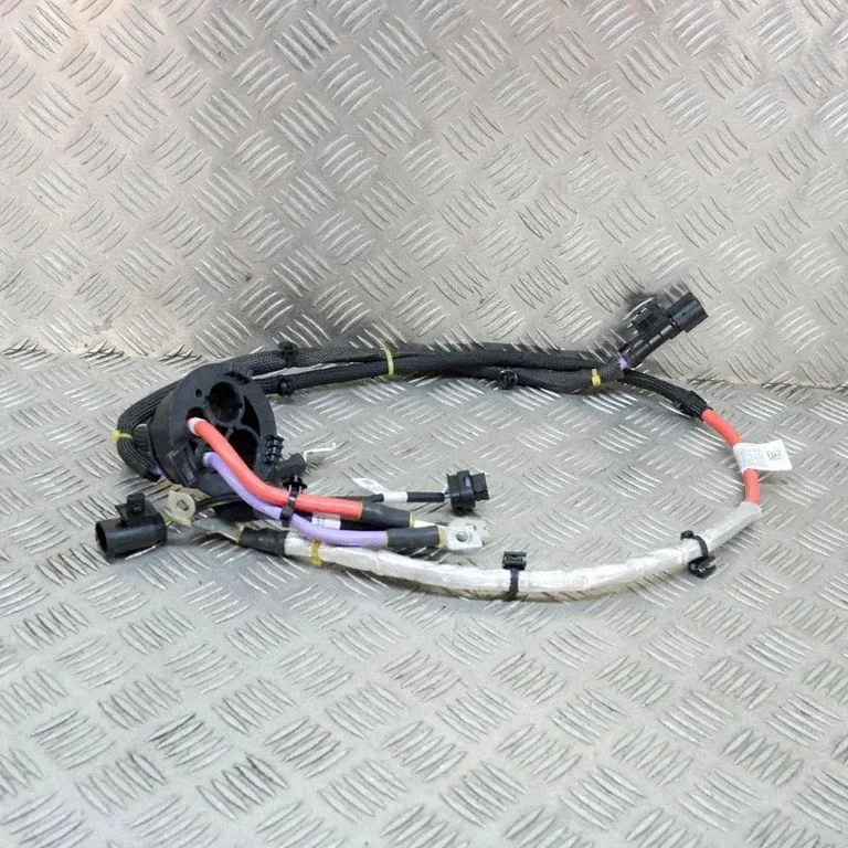 Other wiring loom 7120613