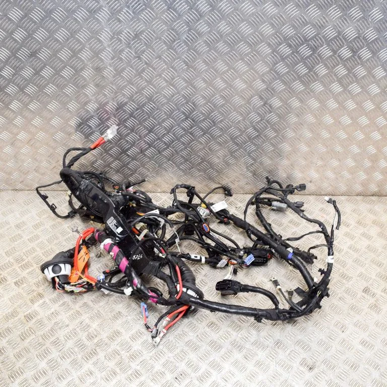 Other wiring loom 106876800F