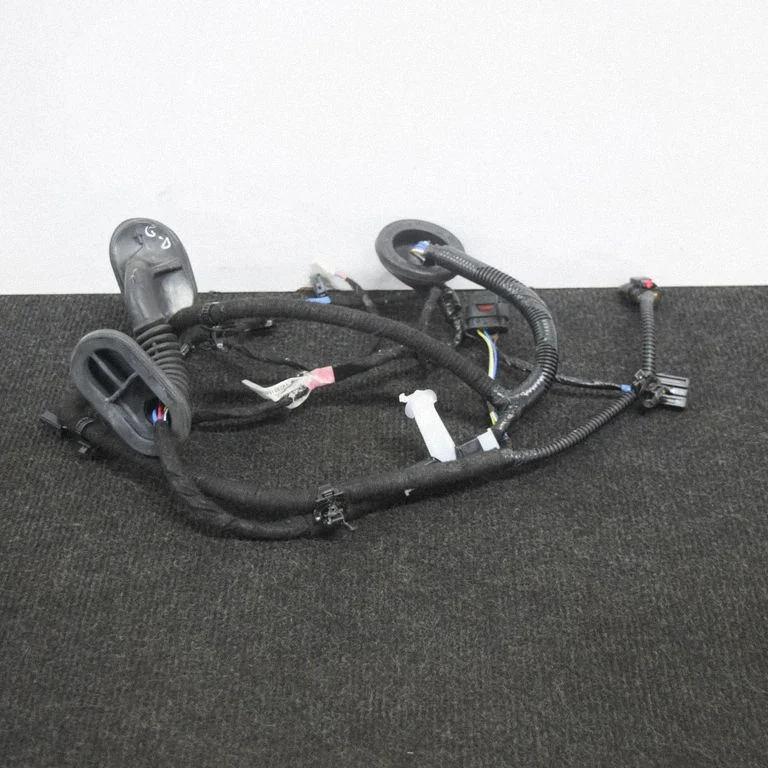 Other wiring loom 206796600A