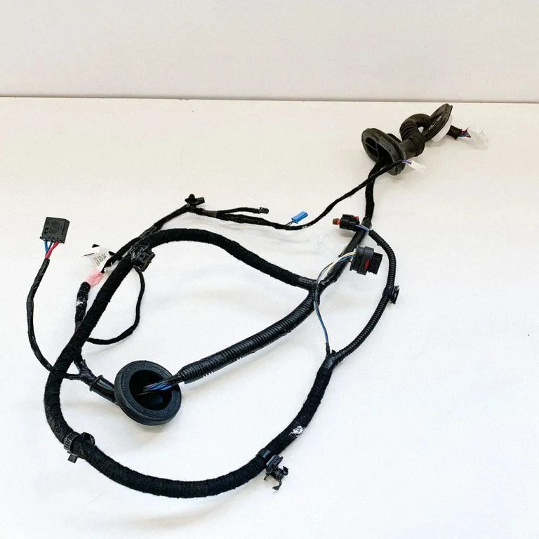 Other wiring loom 206796600A