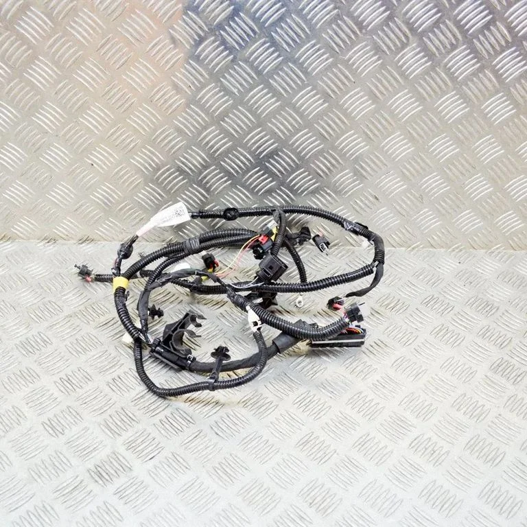 Other wiring loom 106876700G