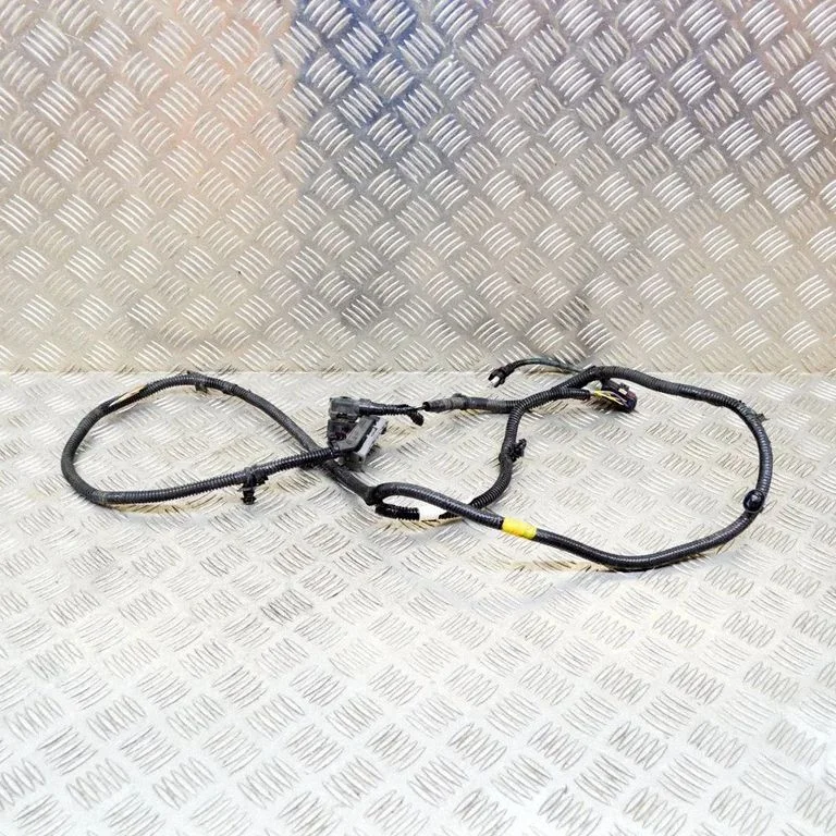 Other wiring loom 106876901D