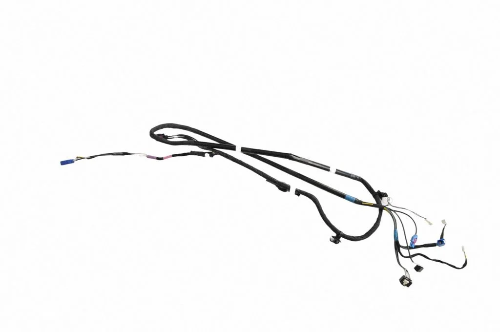 Other wiring loom 161669103D