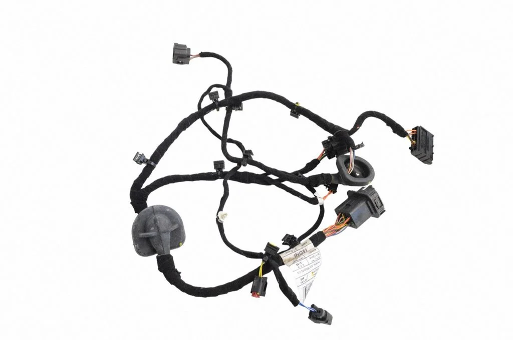 Other wiring loom 50551876