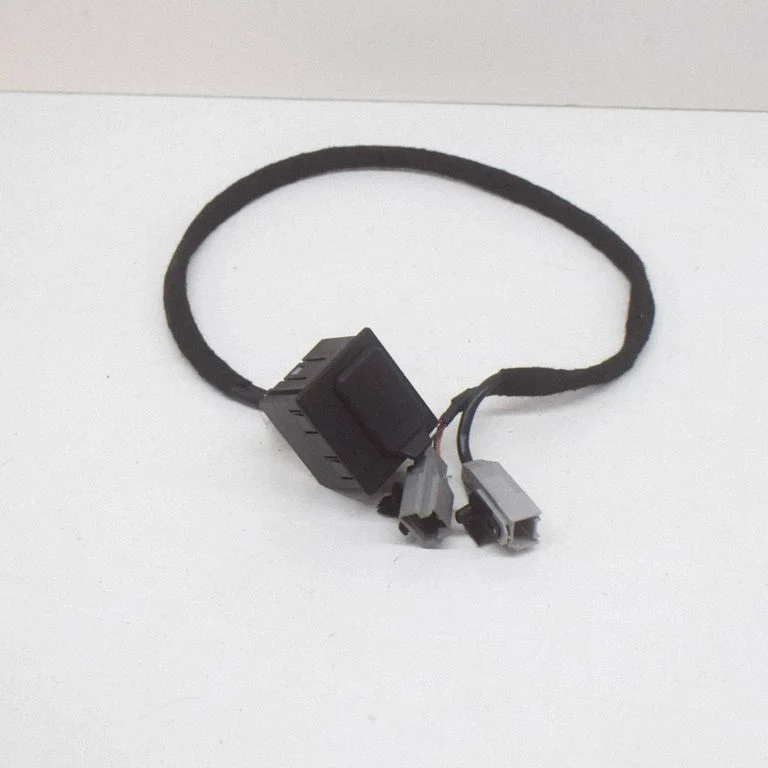 AUX ligzda 4200012033