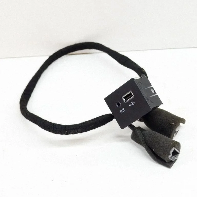 AUX ligzda 670009770