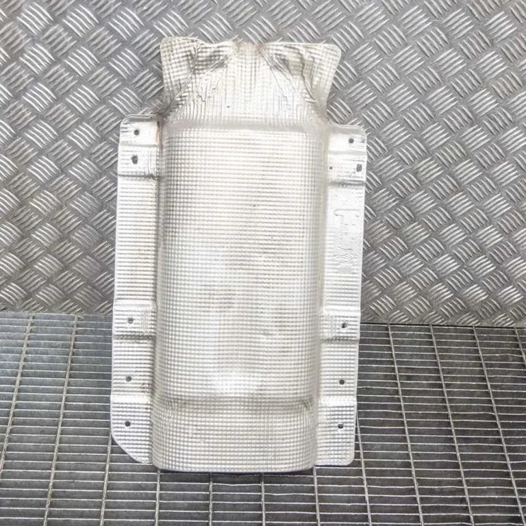 Heat shield in engine bay 670006807