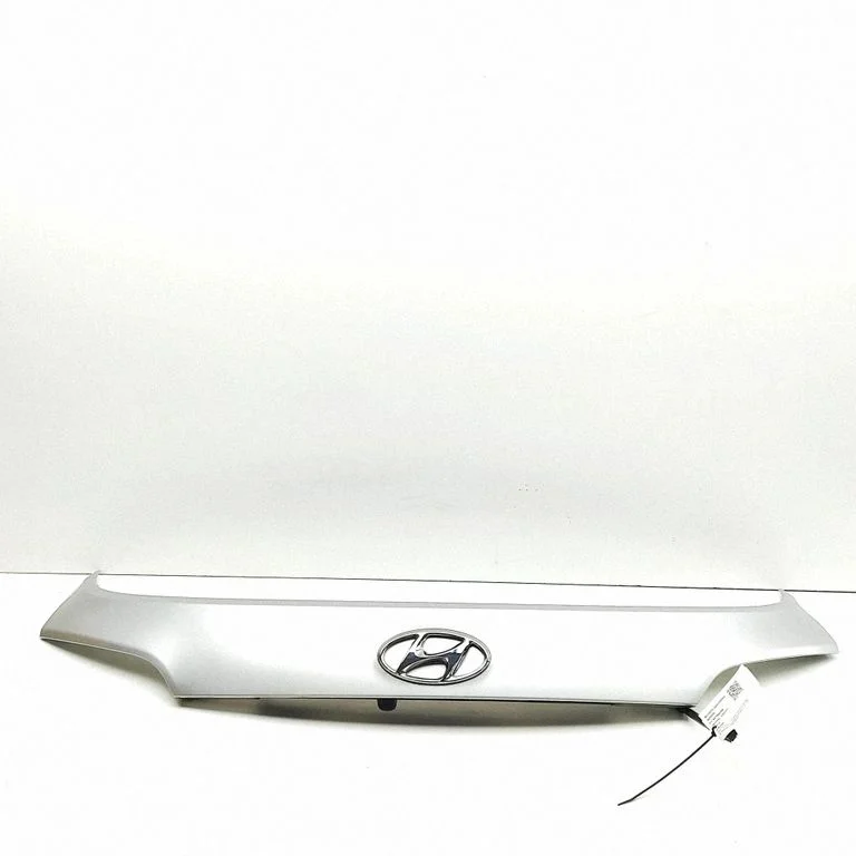 Trunk door license plate light bar 873712W000