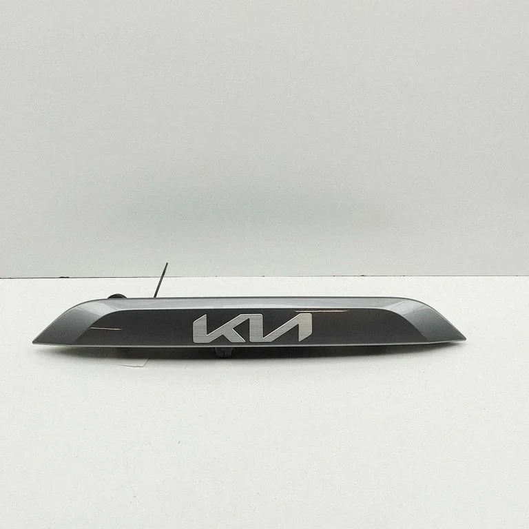Trunk door license plate light bar 87312AT000