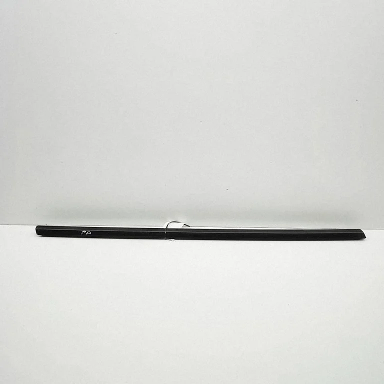 Door glass trim 149571100D