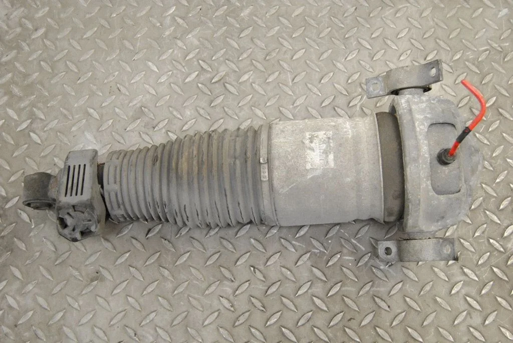 Shock absorber/damper/air suspension – left