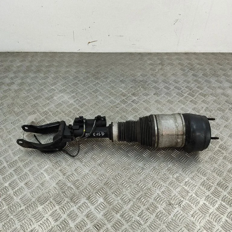 Air suspension front shock absorber A1663200100