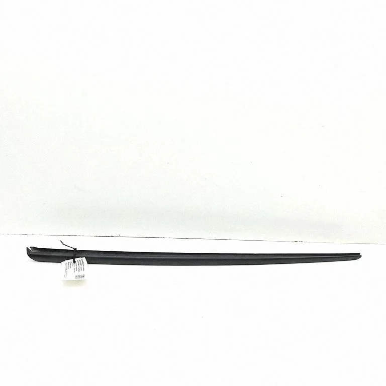 Windshield trim – Audi RS6 C8 (2019-)