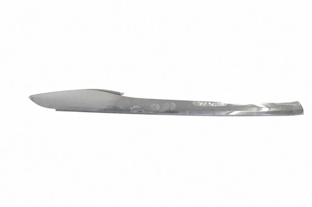 Windshield trim 1559956